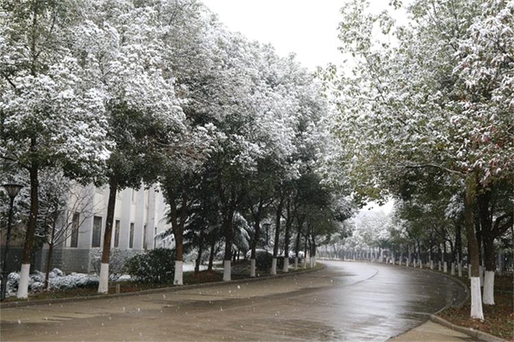 武汉信息传播职业技术学院
