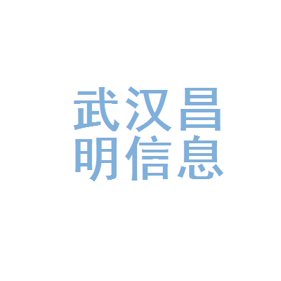 武汉昌明信息科技有限责任公司